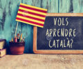 Programació Curs de Català Curs 2021-2022